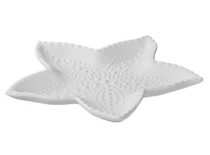 Bisque Starfish Dish (Case of 6)
