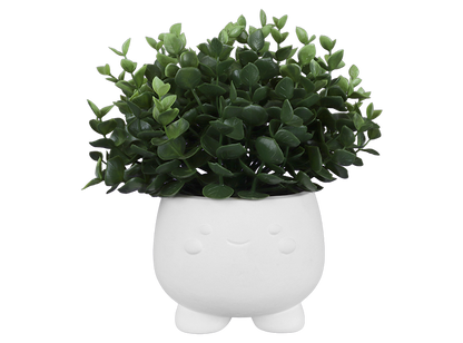 Bisque Kutie Kawaii Container (Case of 4)