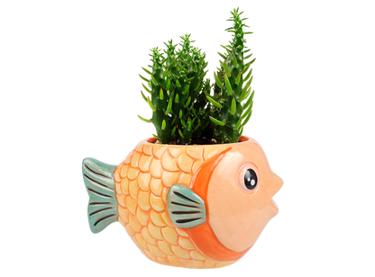 Bisque So-Fish-Ticated Container (Case of 6)