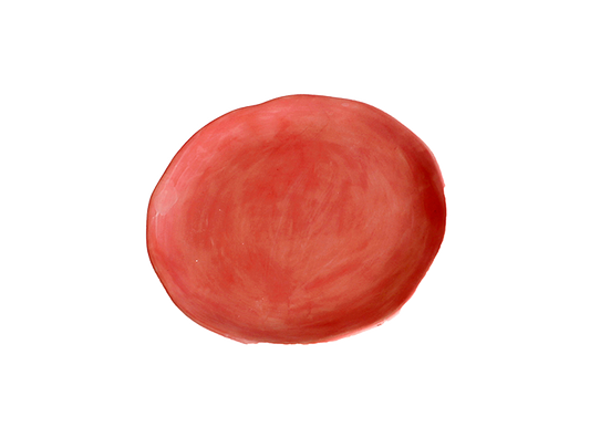 Bisque Basal Salad Plate (Case of 6)