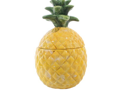Bisque Pineapple Jar (Case of 4)