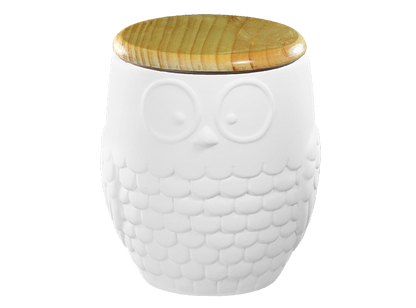 Bisque Modern Owl Canister (Case of 4)