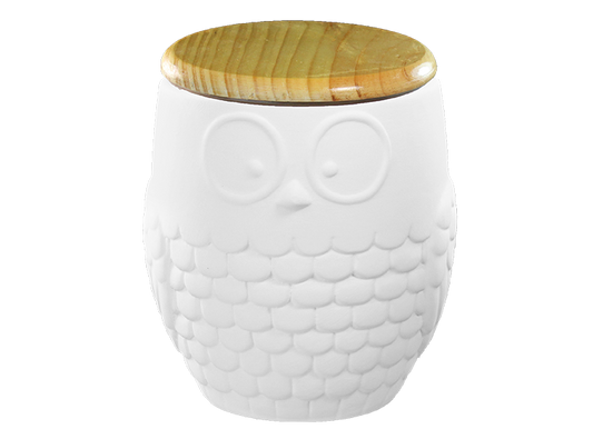 Bisque Modern Owl Canister (Case of 4)