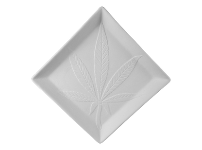 Bisque Chill Leaf Dinner Plate (Case of 6)