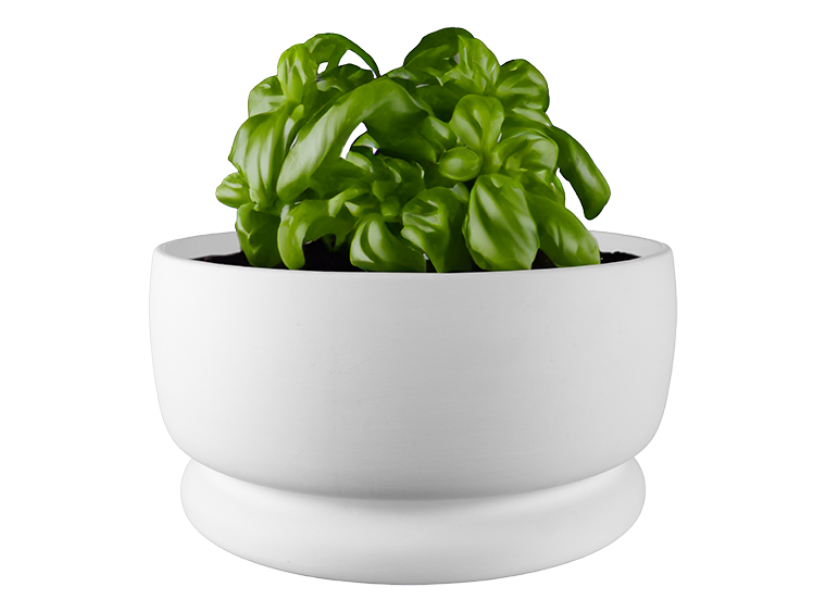 Bisque Large Rustic Planter (Case of 1)
