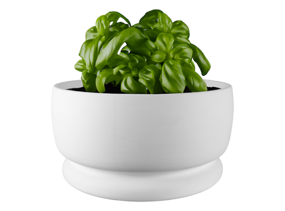 Bisque Large Rustic Planter (Case of 1)