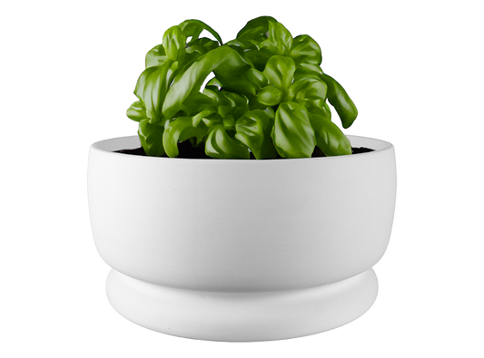 Bisque Large Rustic Planter (Case of 1)