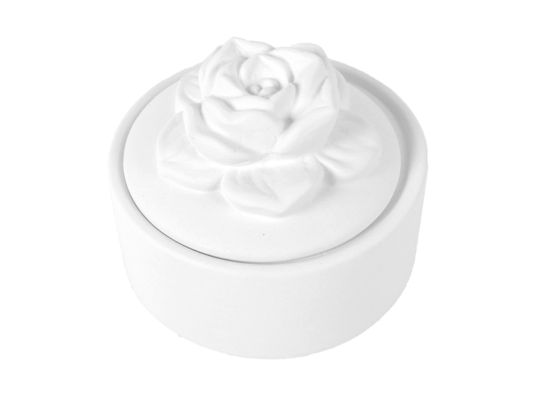 Bisque Succulent Box (Case of 4)