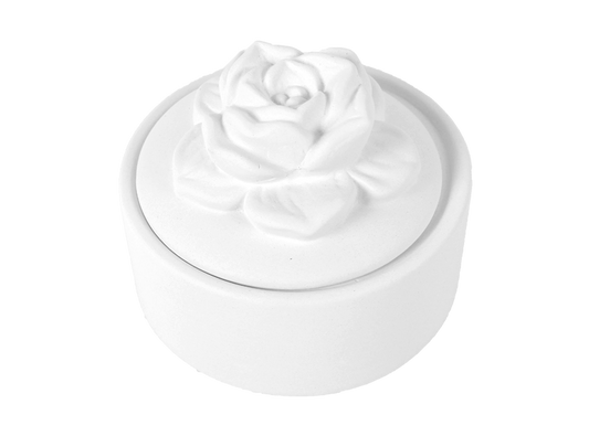 Bisque Succulent Box (Case of 4)