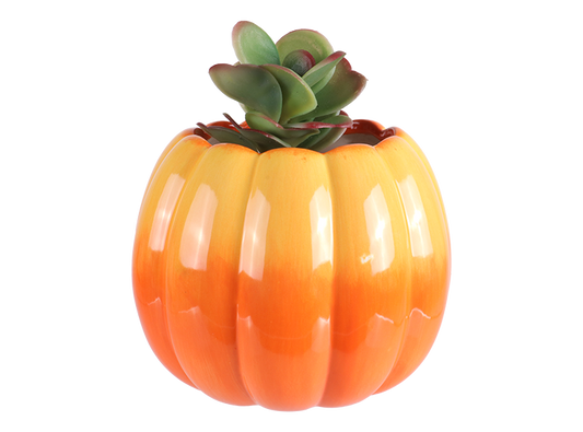 Bisque Pumpkin Planter (Case of 4)