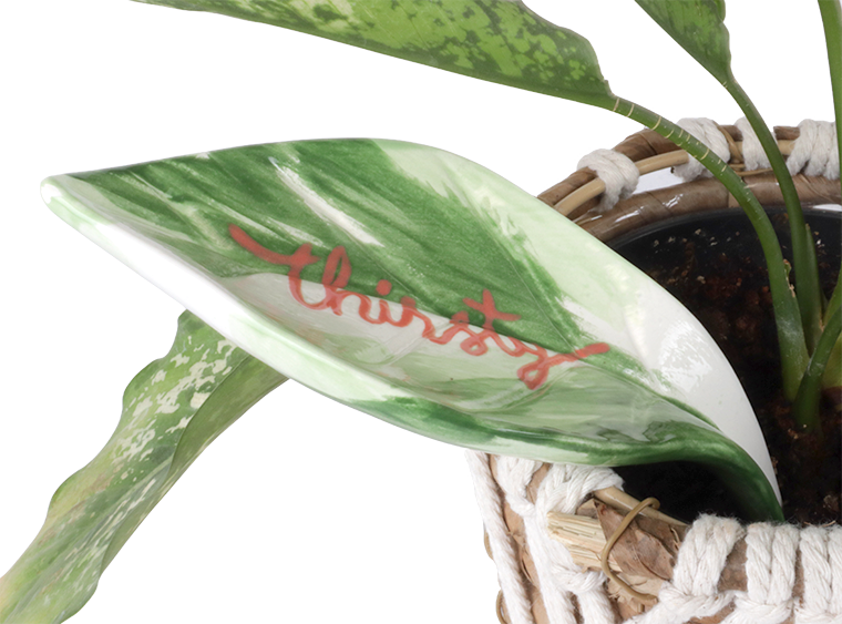 Bisque Watering Leaf (Case of 12)