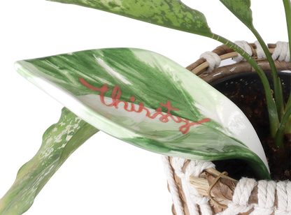 Bisque Watering Leaf (Case of 12)