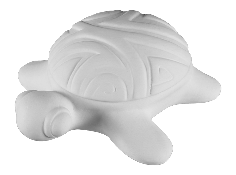 Bisque Surf's Up Turtle Box (Case of 4)