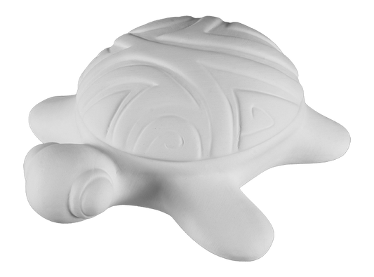 Bisque Surf's Up Turtle Box (Case of 4)