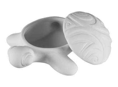 Bisque Surf's Up Turtle Box (Case of 4)