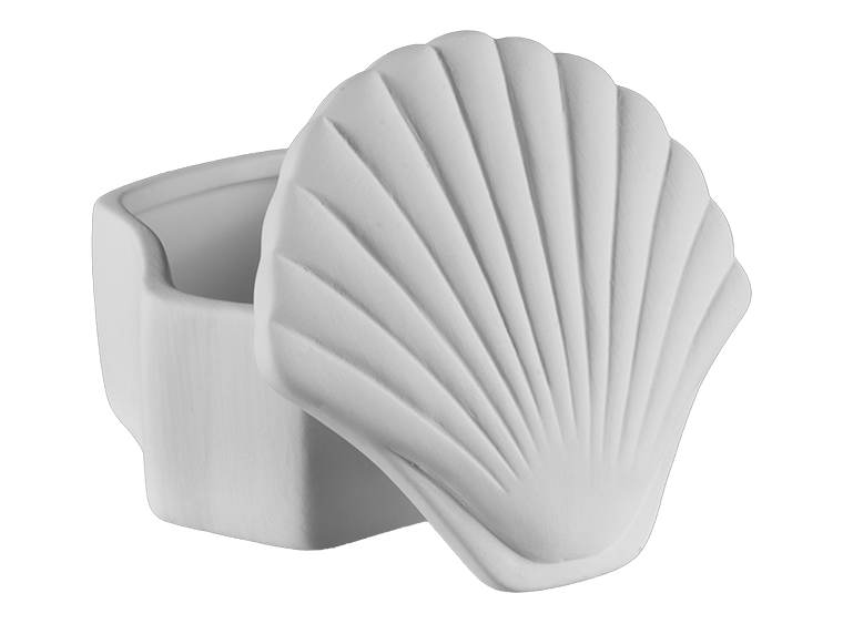 Bisque Seashell Box (Case of 4)