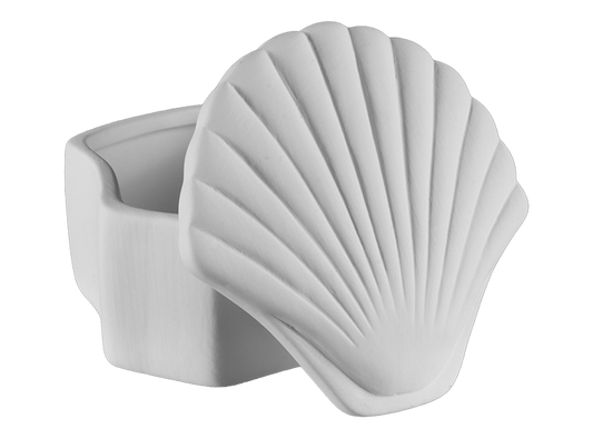 Bisque Seashell Box (Case of 4)
