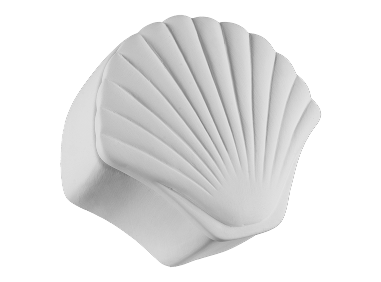 Bisque Seashell Box (Case of 4)