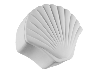 Bisque Seashell Box (Case of 4)
