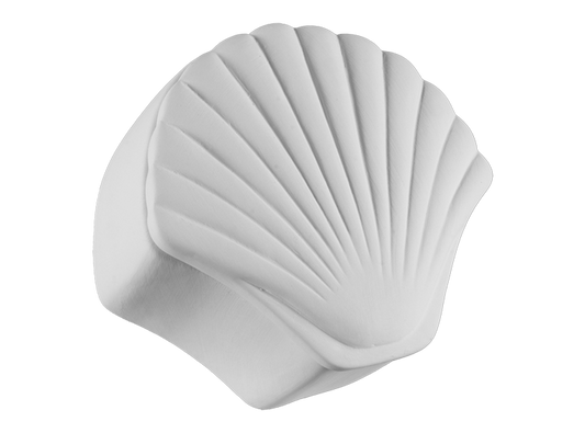Bisque Seashell Box (Case of 4)