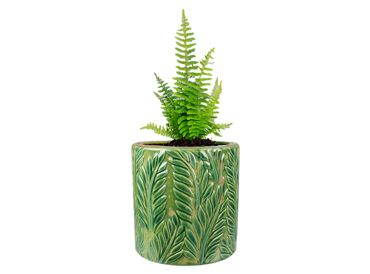 Bisque Tropical Fern Planter (Case of 4)