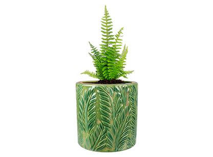 Bisque Tropical Fern Planter (Case of 4)