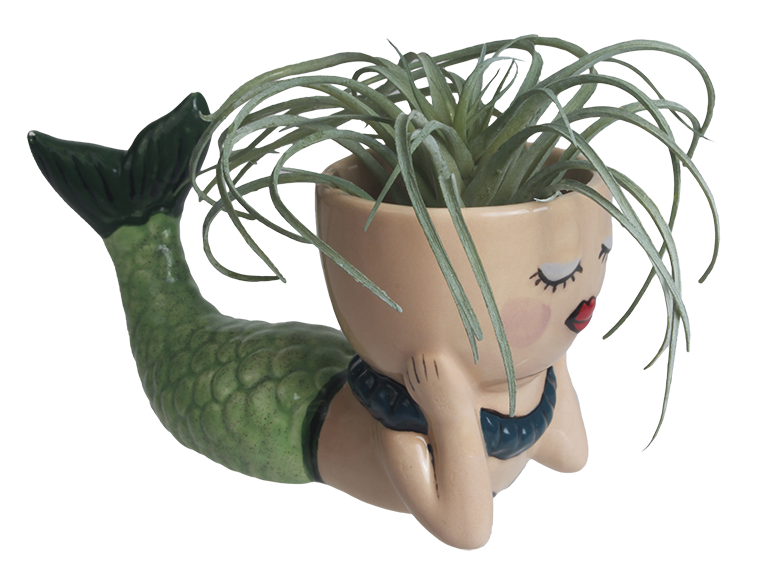 Bisque Pearl The Mermaid Planter (Case of 6)