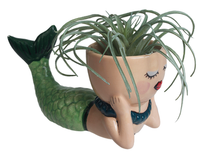 Bisque Pearl The Mermaid Planter (Case of 6)