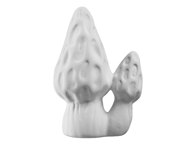 Bisque Morel Mushroom Mighty Tot (Case of 12)