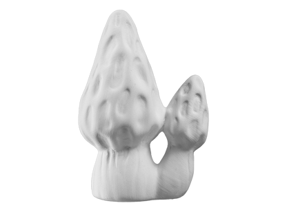 Bisque Morel Mushroom Mighty Tot (Case of 12)