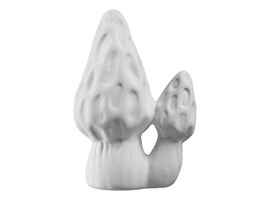 Bisque Morel Mushroom Mighty Tot (Case of 12)