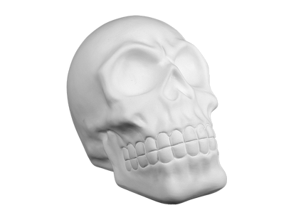 Bisque Skull Figurine (Case of 2)