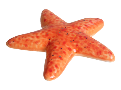 Bisque Starfish (Case of 12)