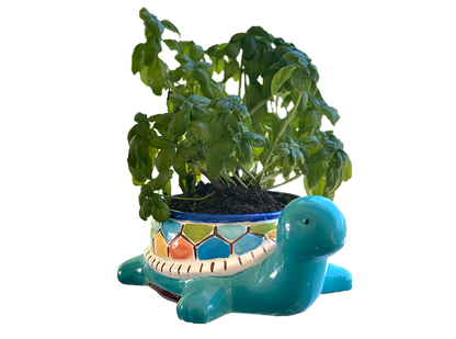 Bisque Teddy Turtle Planter (Case of 2)