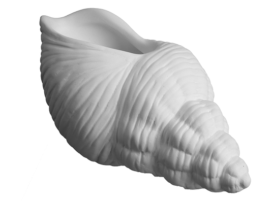 Bisque Trumpet Shell Planter (Case of 4)