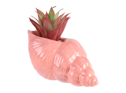 Bisque Trumpet Shell Planter (Case of 4)