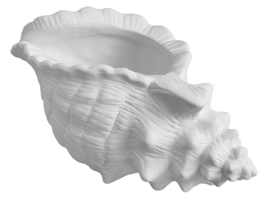 Bisque Conch Shell Planter (Case of 4)