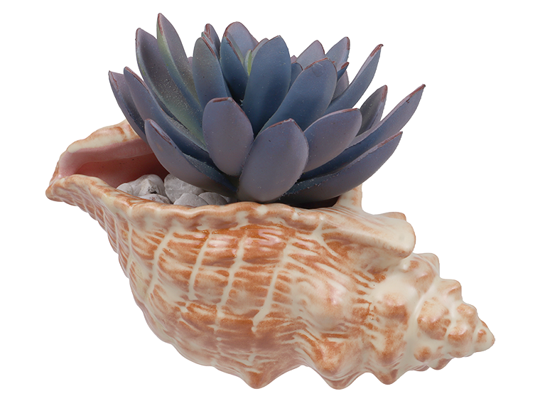 Bisque Conch Shell Planter (Case of 4)