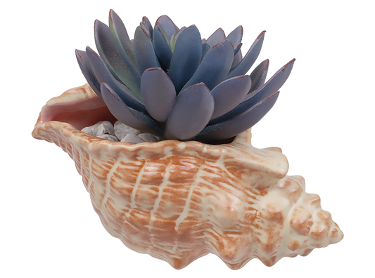 Bisque Conch Shell Planter (Case of 4)
