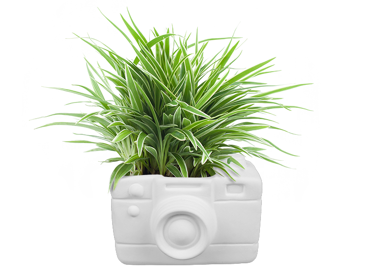 Bisque Retro Snapshot Planter (Case of 4)