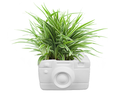 Bisque Retro Snapshot Planter (Case of 4)