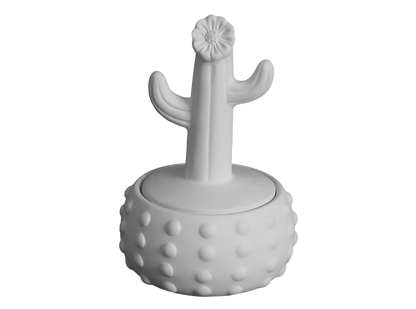 Bisque Floral Cactus Box (Case of 4)