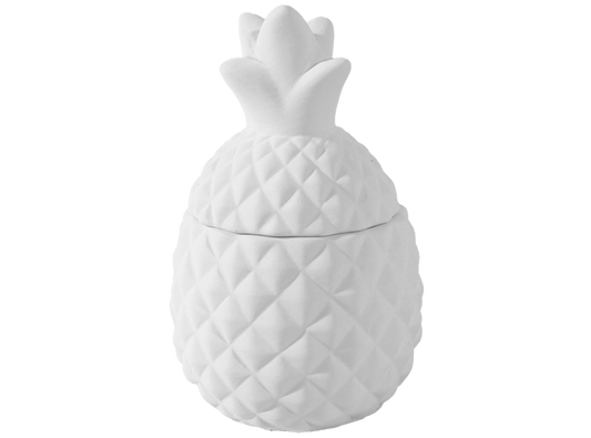 Bisque Mini Pineapple Box (Case of 6)