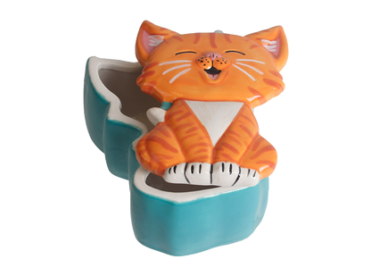 Bisque Kitty Box (Case of 4)
