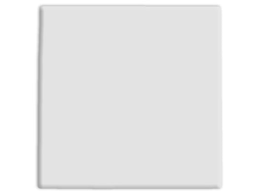 Bisque 8" Square Tile (Case of 6)