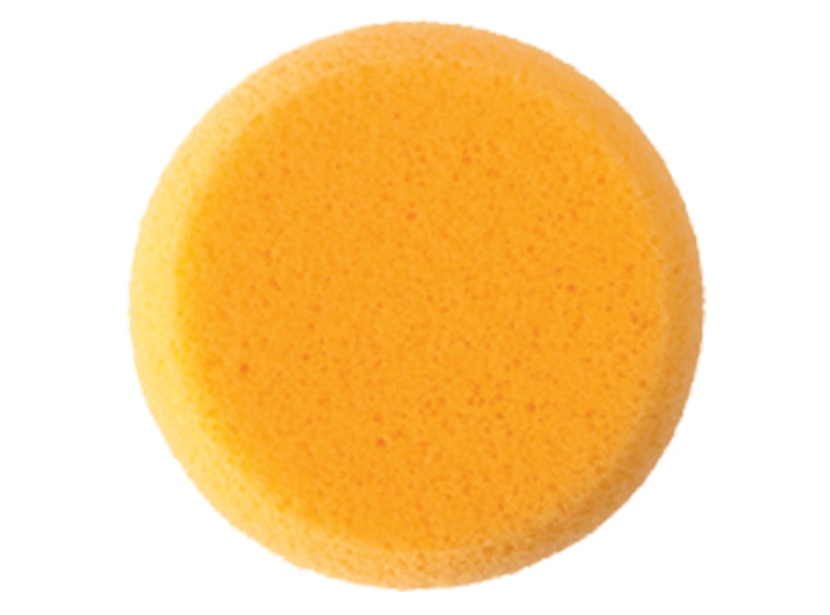 Hydra Art Sponge (Case of 12)