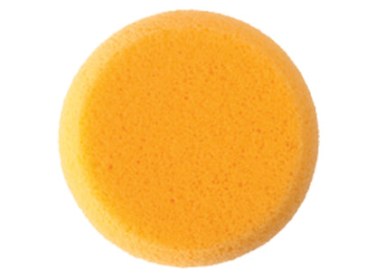 Hydra Art Sponge (Case of 12)