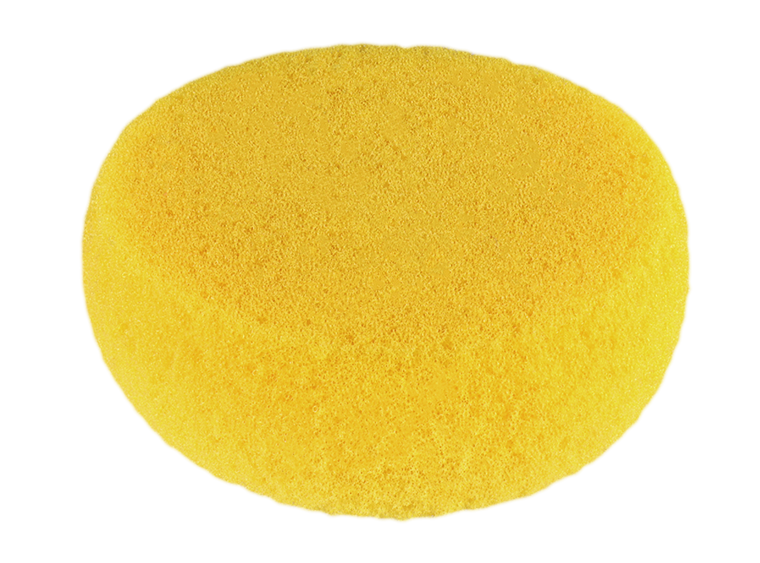 Hydra Art Sponge (Case of 12)