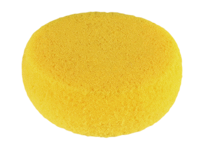 Hydra Art Sponge (Case of 12)
