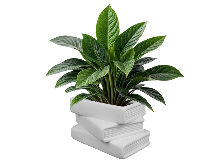 Bisque Good Reads Planter (Case of 2)